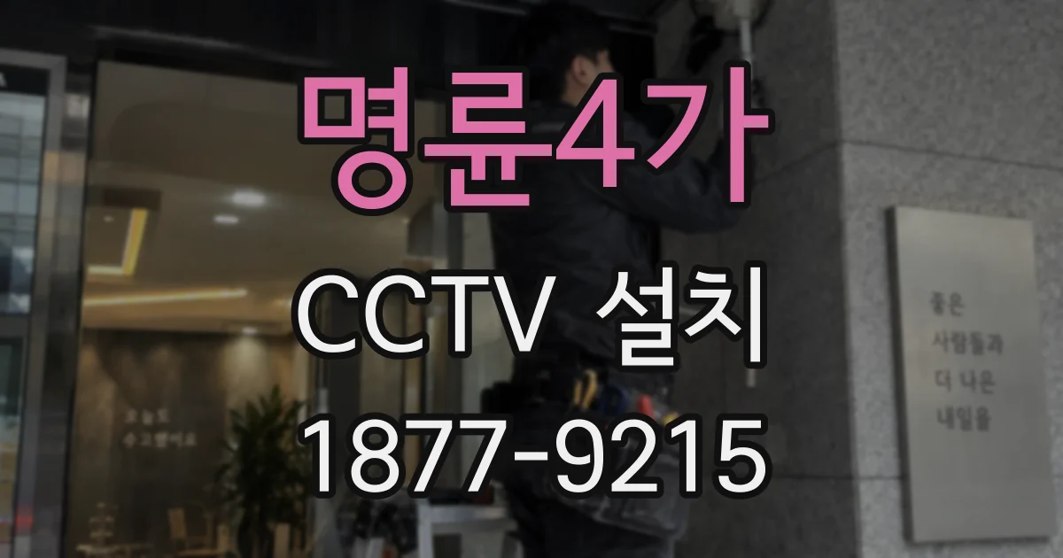 명륜4가 CCTV 설치