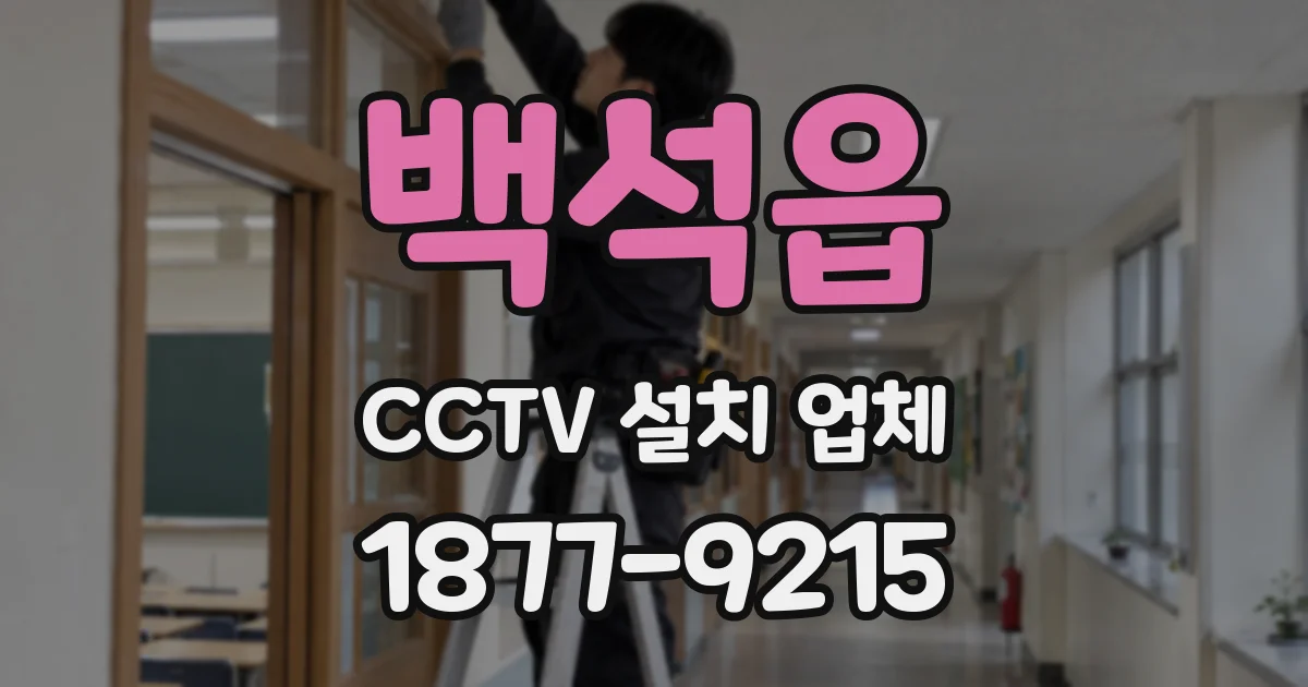 백석읍 CCTV 설치 업체