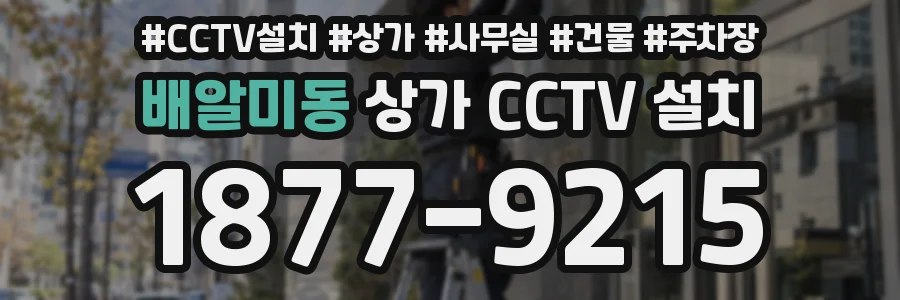 배알미동 상가 CCTV 설치