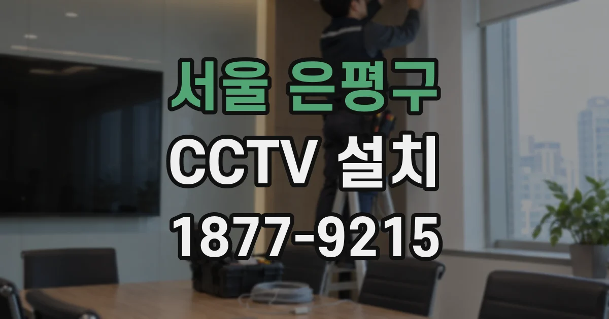 서울 은평구 CCTV 설치