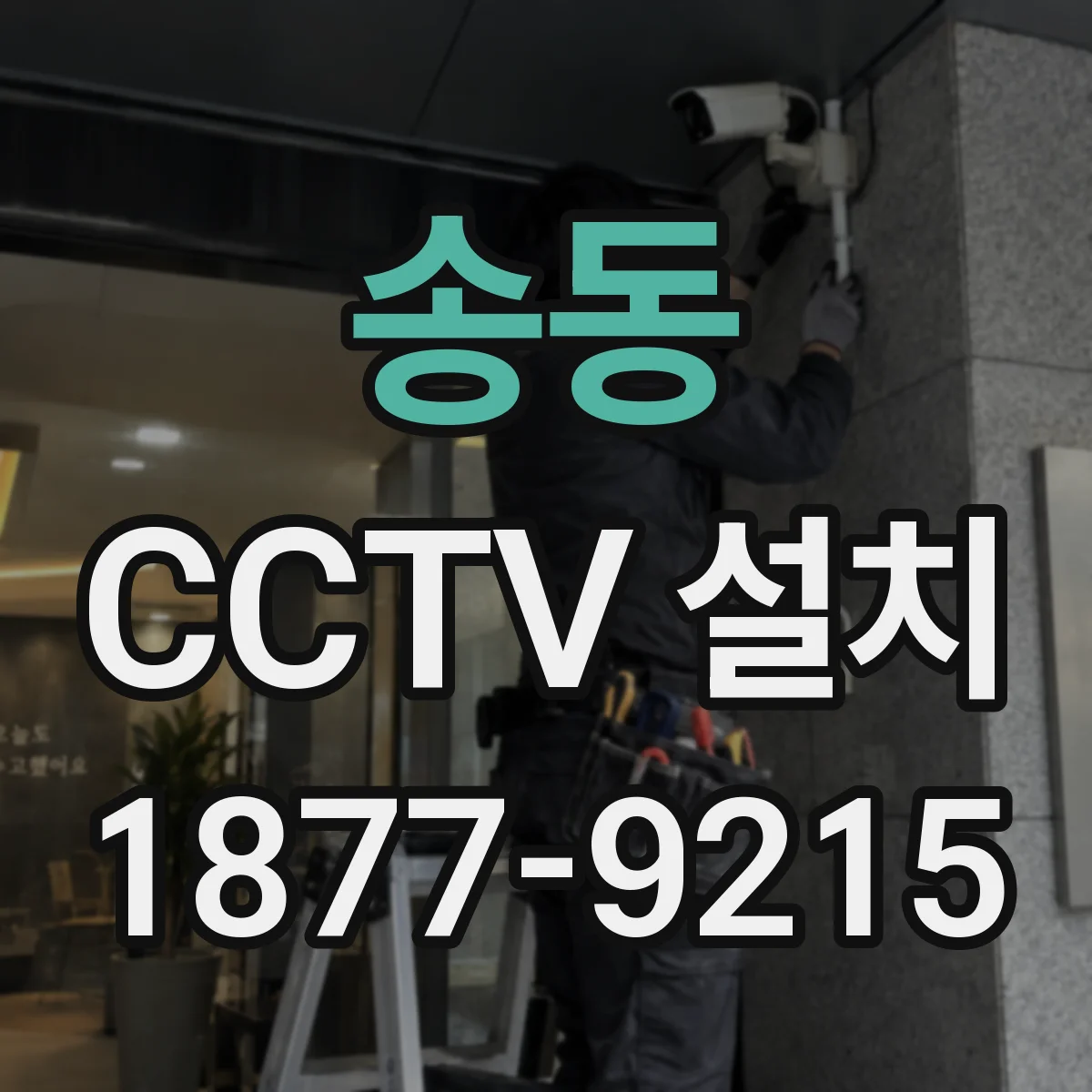 송동 CCTV 설치