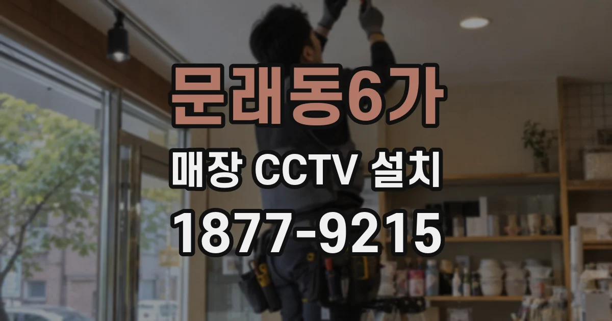 문래동6가 매장 CCTV 설치