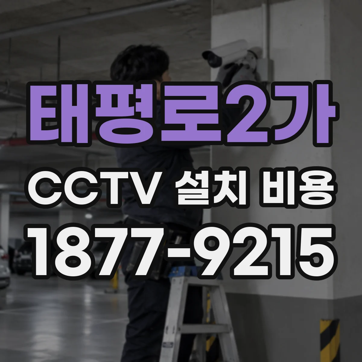 태평로2가 CCTV 설치 비용