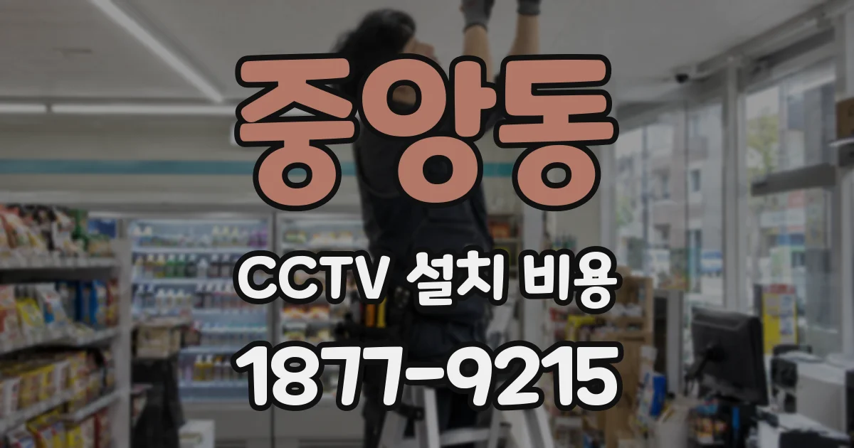 중앙동 CCTV 설치 비용
