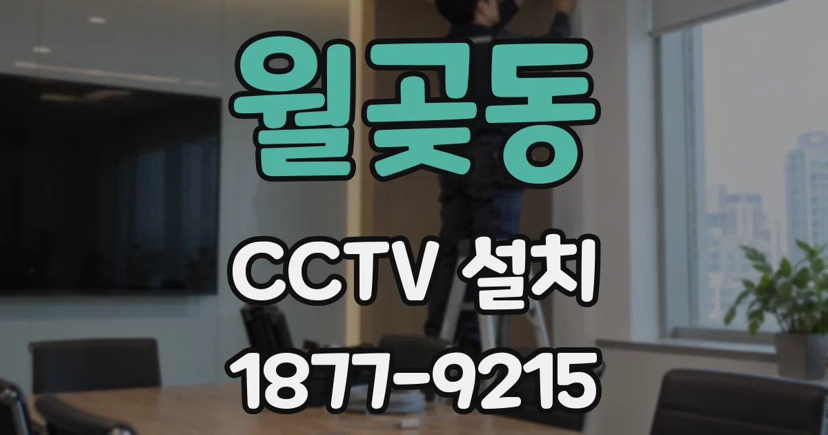 월곶동 CCTV 설치