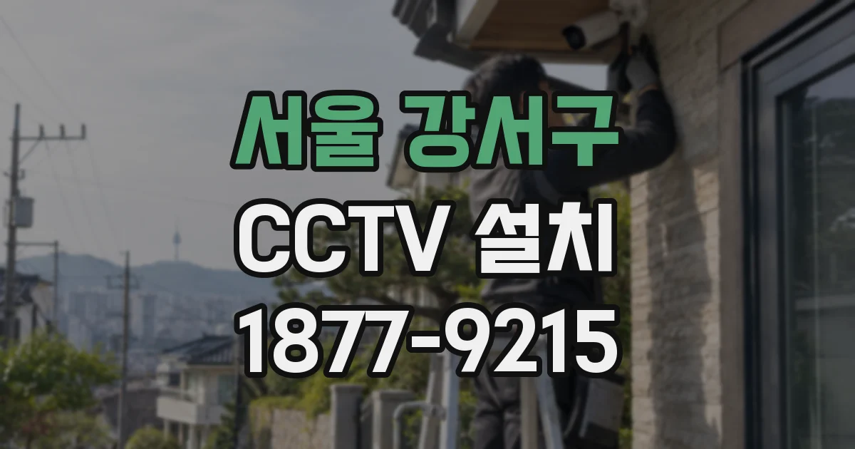 서울 강서구 CCTV 설치