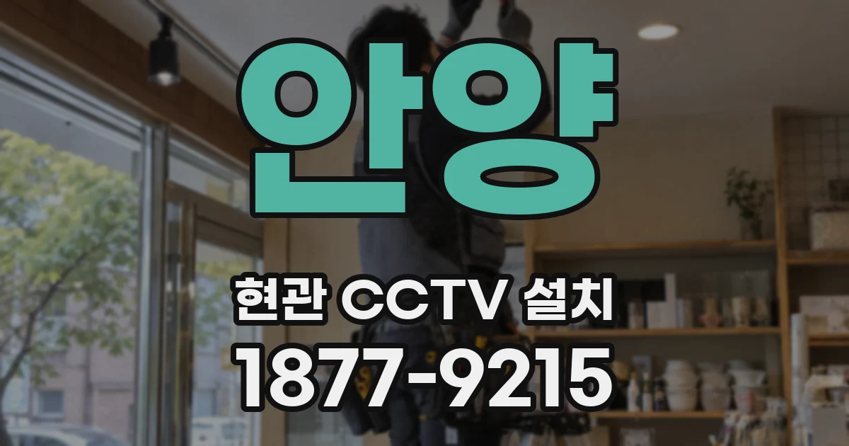 안양 현관 CCTV 설치