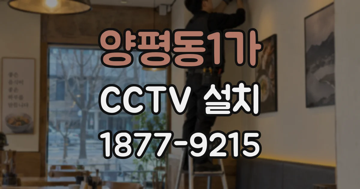양평동1가 CCTV 설치