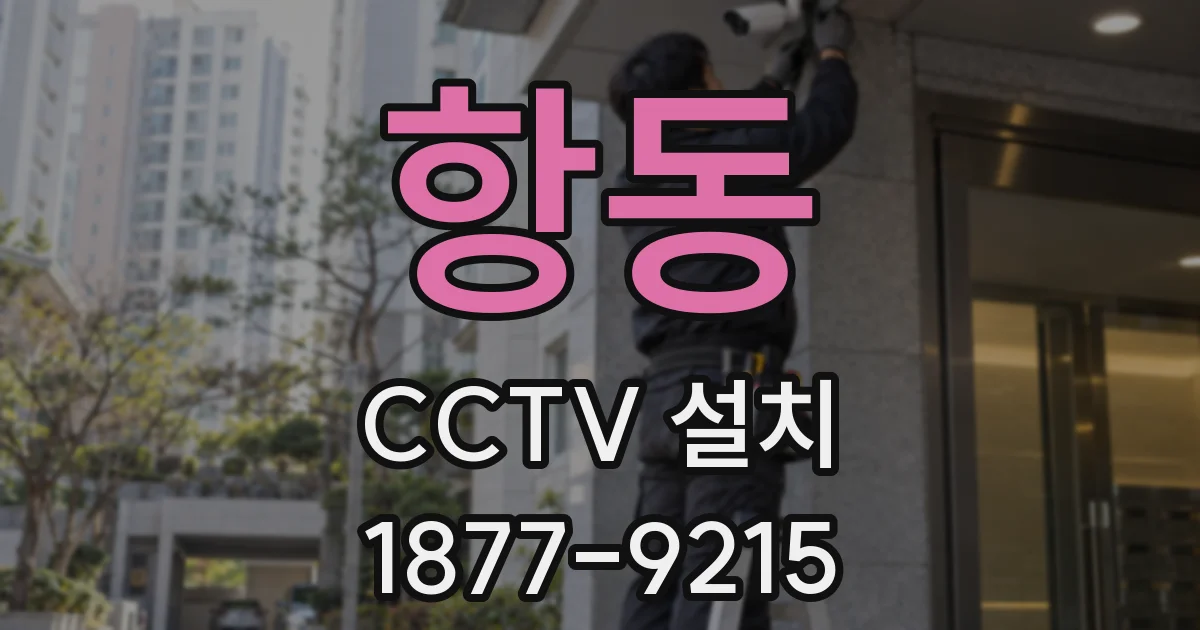 항동 CCTV 설치