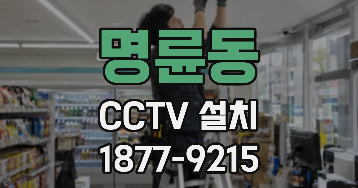 명륜동 CCTV 설치