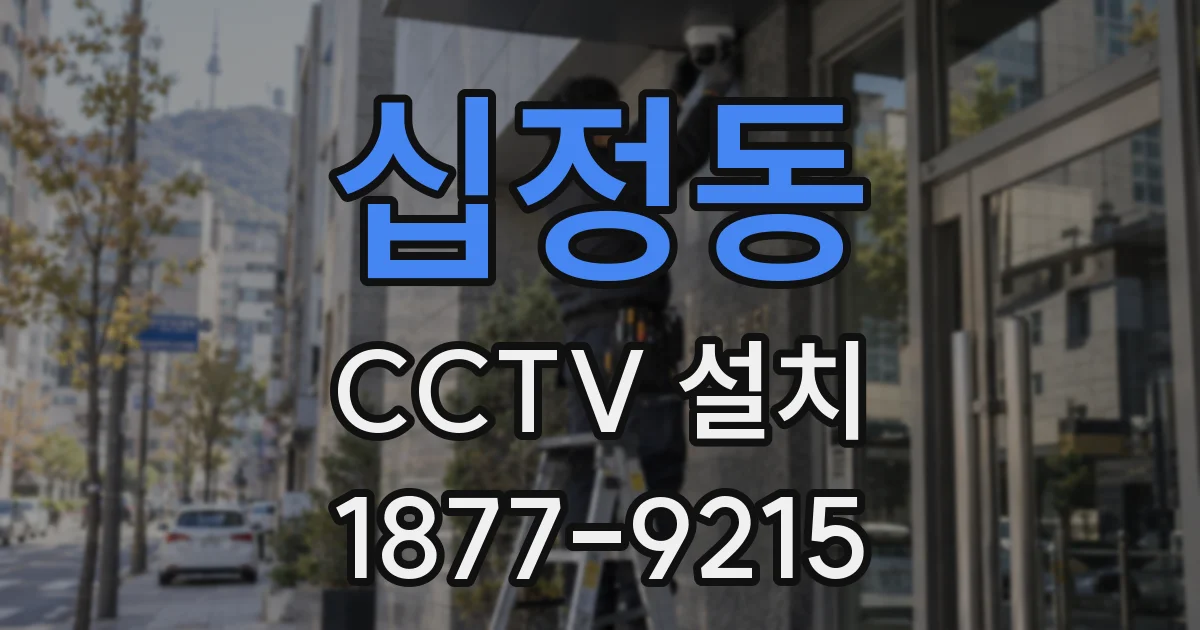 십정동 CCTV 설치
