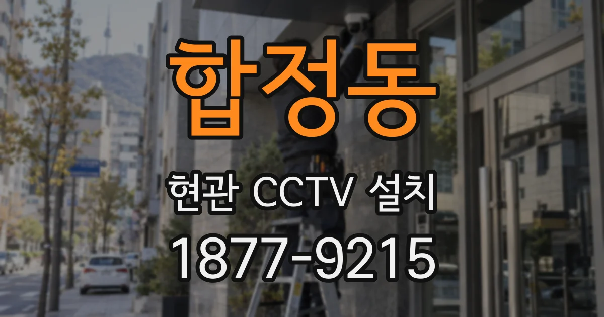 합정동 현관 CCTV 설치