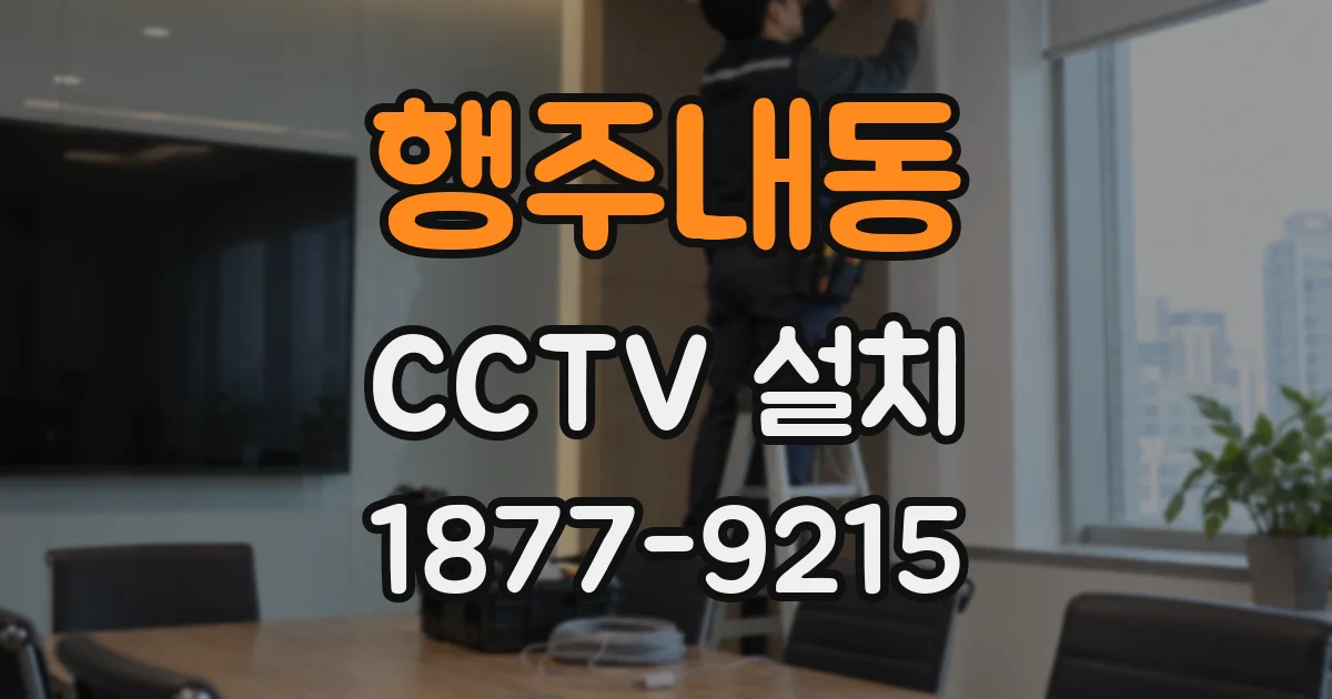 행주내동 CCTV 설치