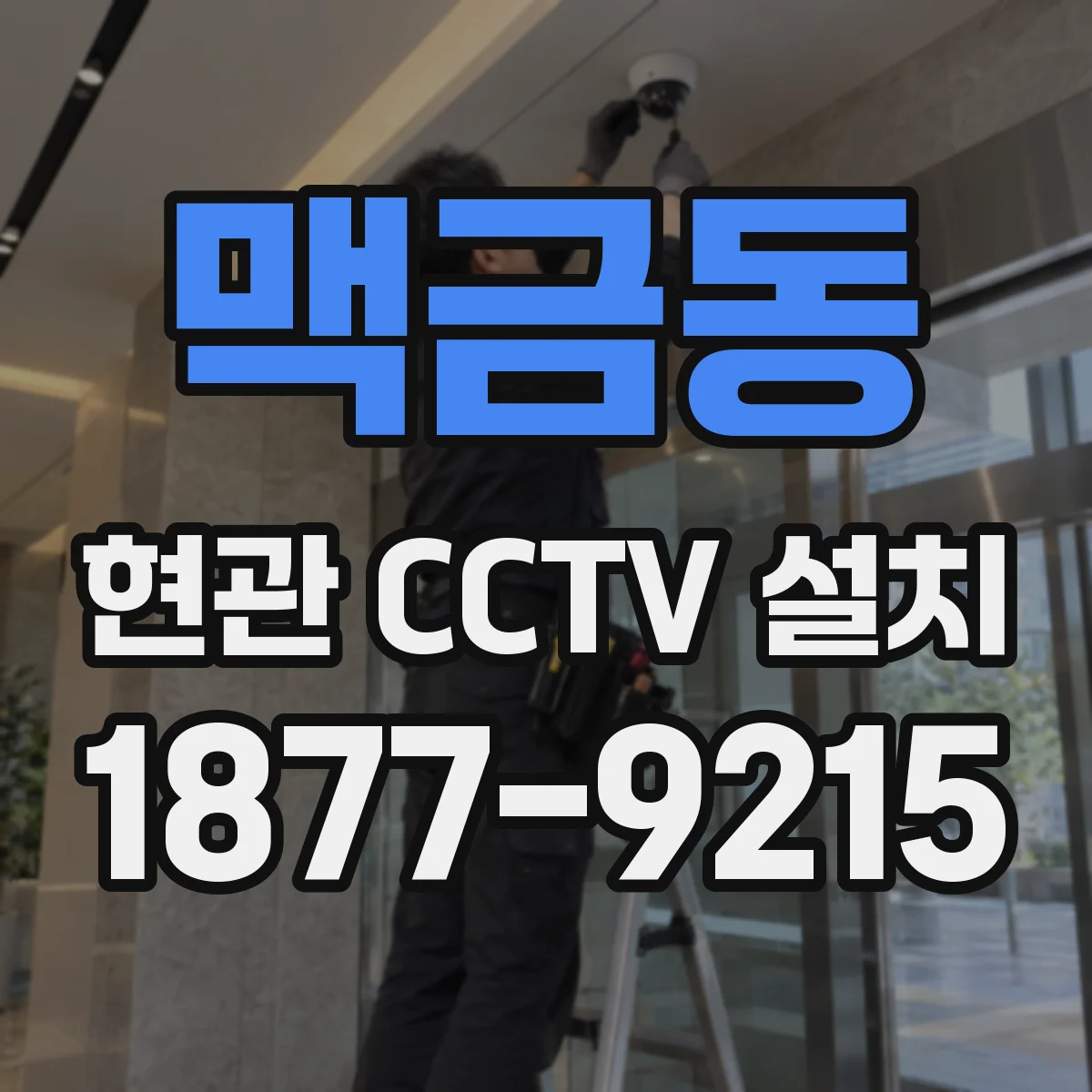 맥금동 현관 CCTV 설치