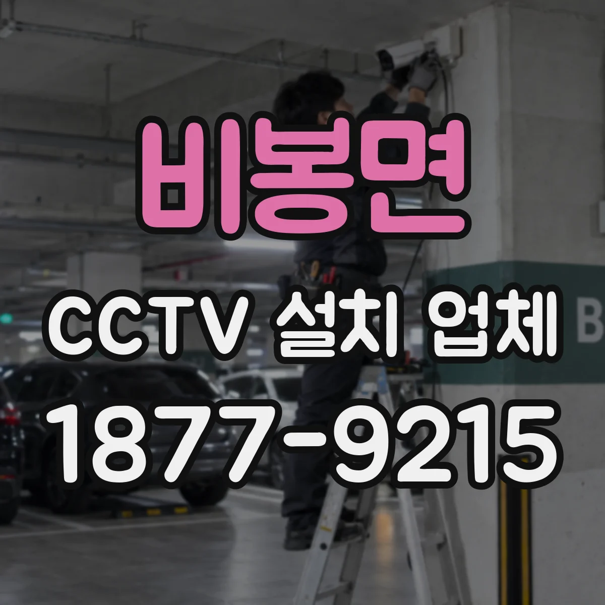 비봉면 CCTV 설치 업체