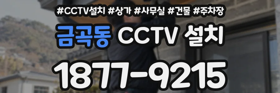 금곡동 CCTV 설치