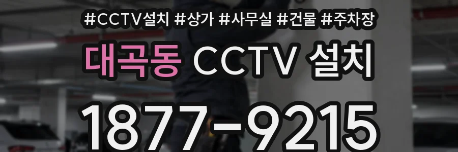 대곡동 CCTV 설치