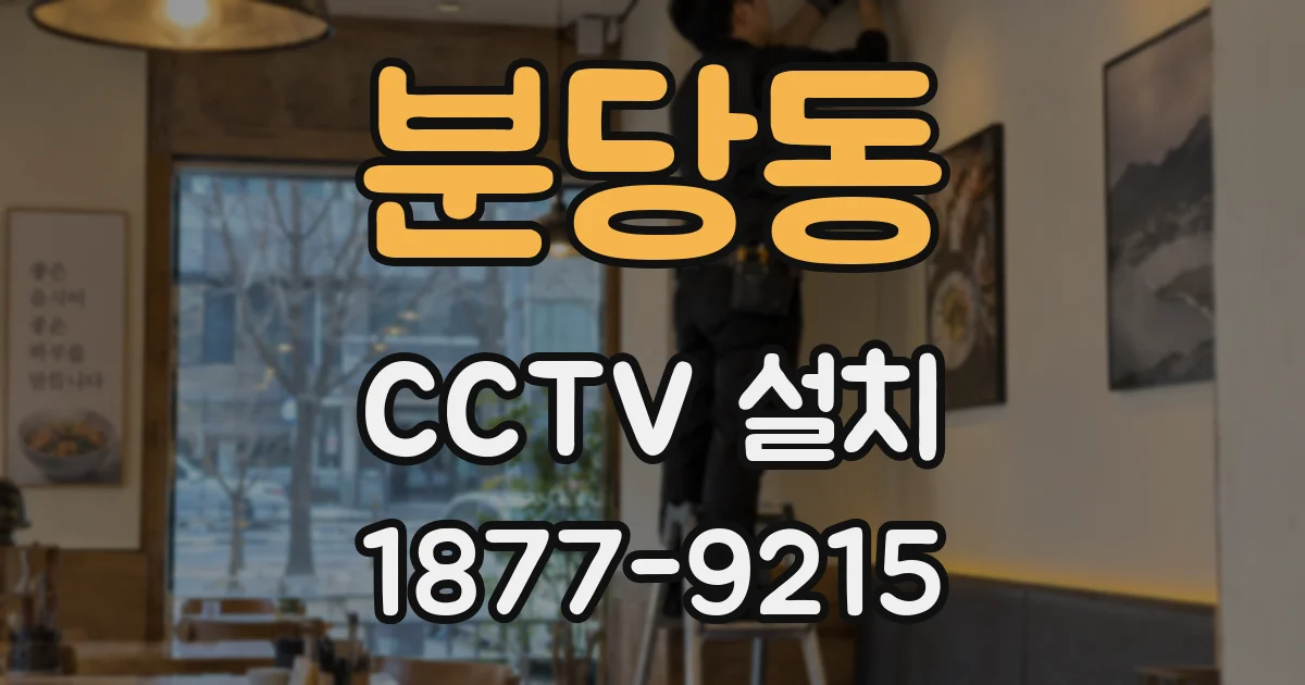 분당동 CCTV 설치