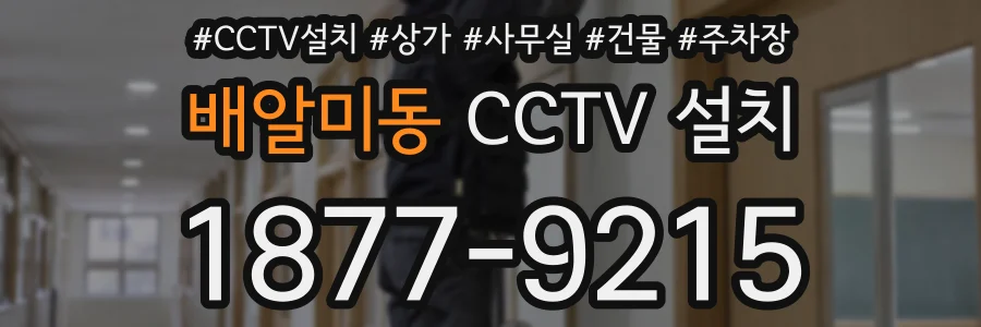 배알미동 CCTV 설치