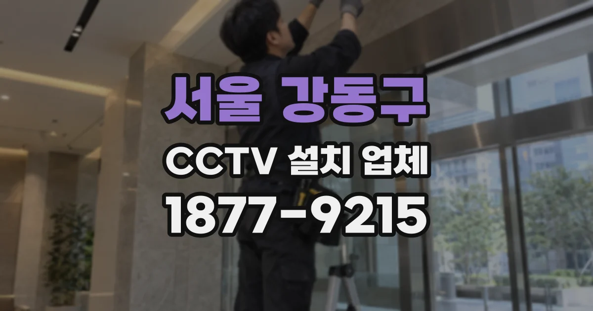 서울 강동구 CCTV 설치 업체