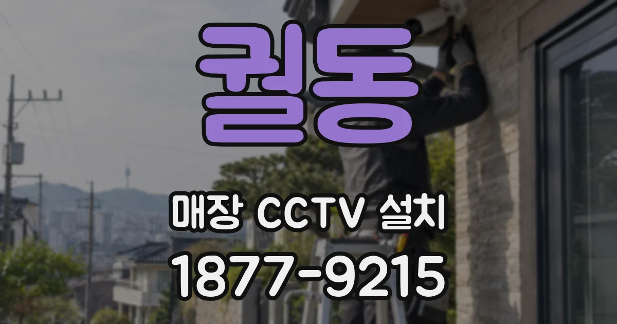 궐동 매장 CCTV 설치