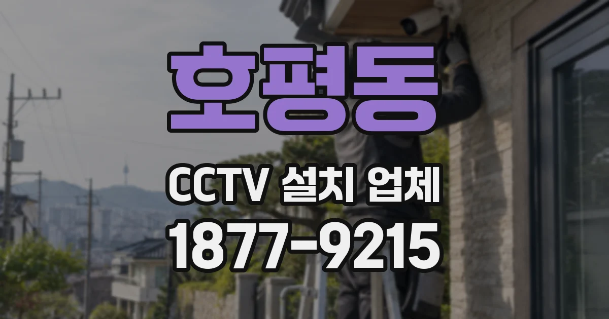 호평동 CCTV 설치 업체
