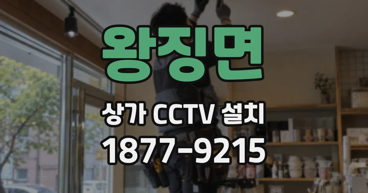 왕징면 상가 CCTV 설치