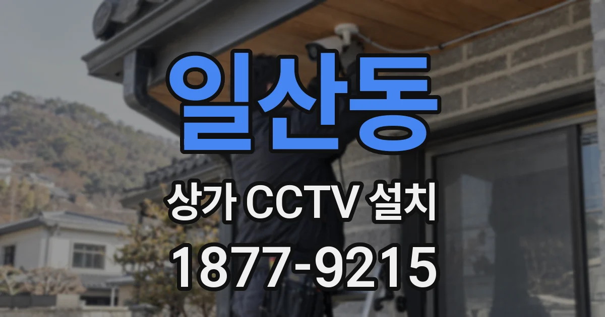 일산동 상가 CCTV 설치
