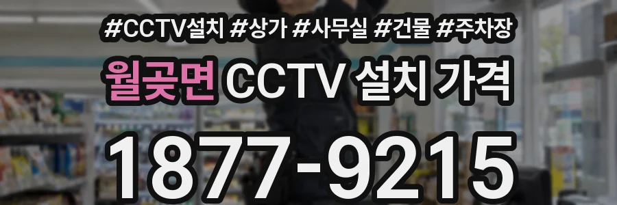 월곶면 CCTV 설치 가격