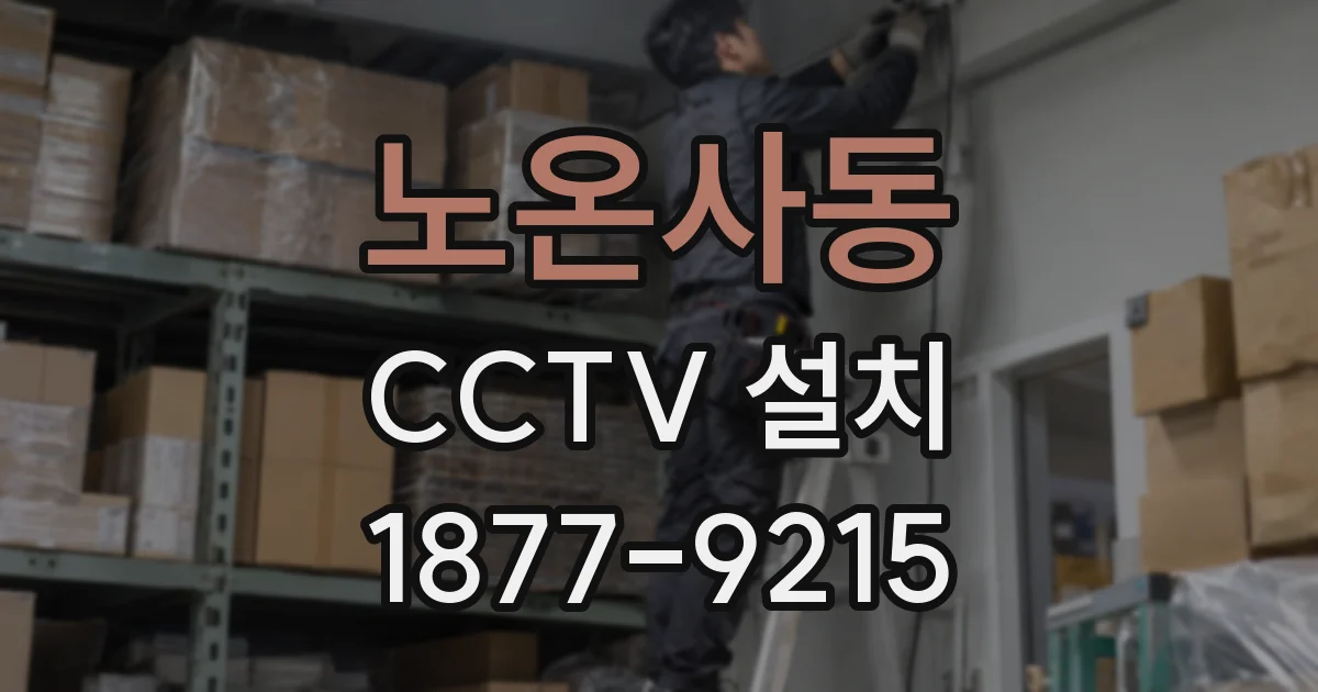 노온사동 CCTV 설치