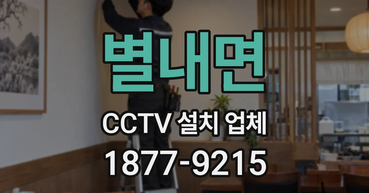 별내면 CCTV 설치 업체
