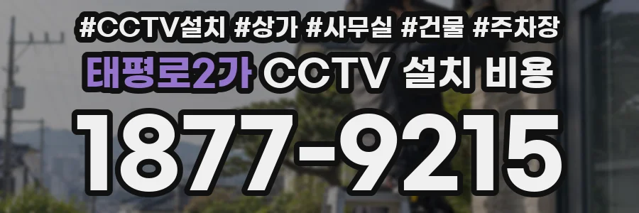 태평로2가 CCTV 설치 비용