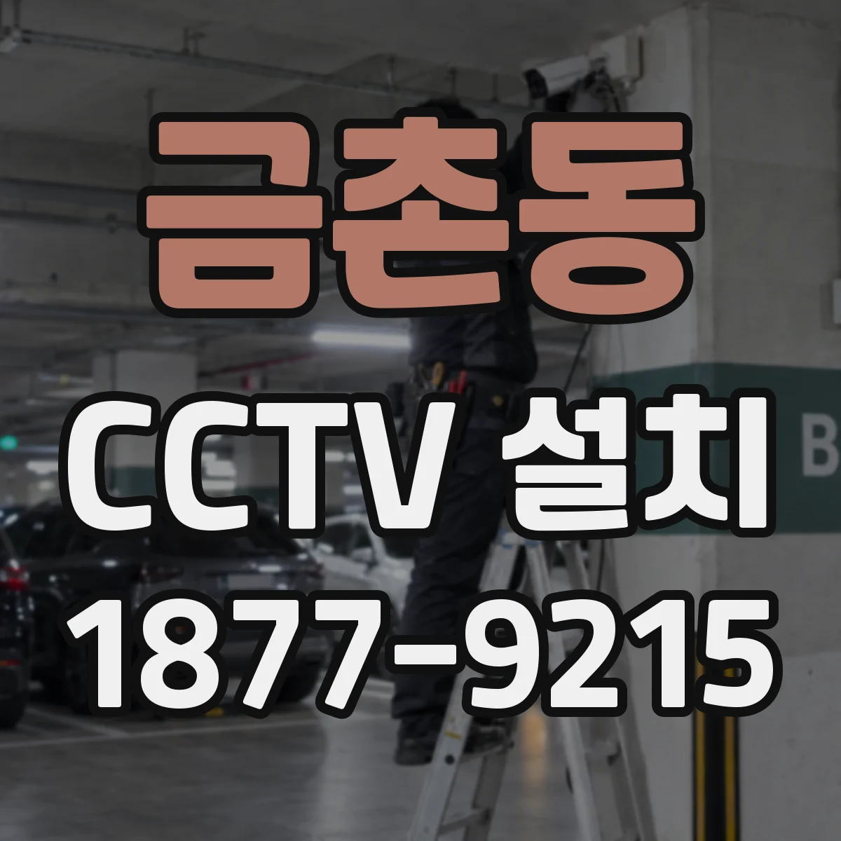 금촌동 CCTV 설치
