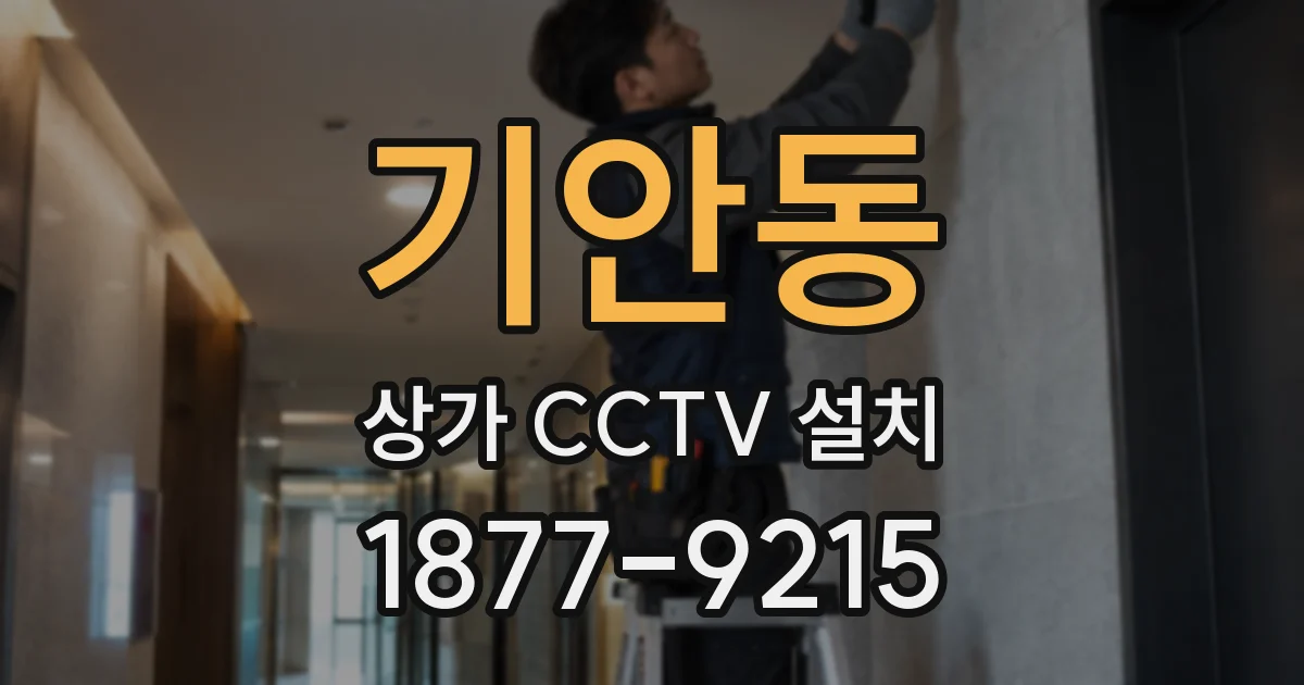 기안동 상가 CCTV 설치