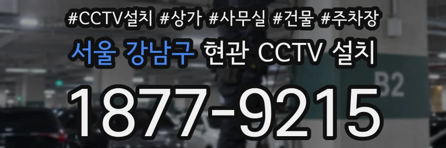 서울 강남구 현관 CCTV 설치