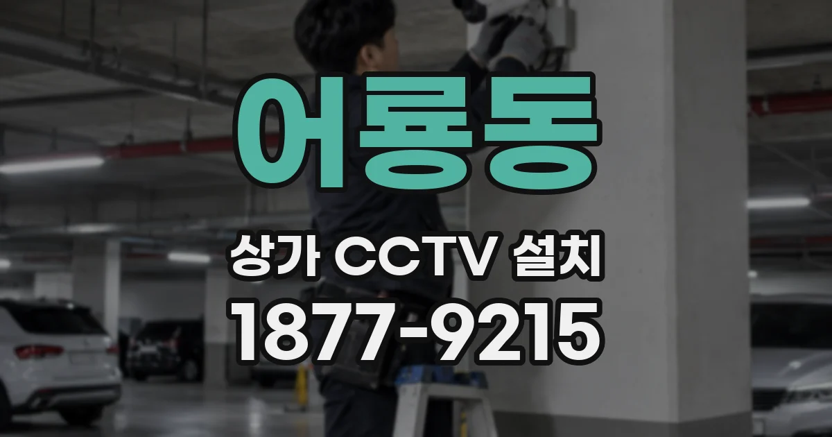 어룡동 상가 CCTV 설치