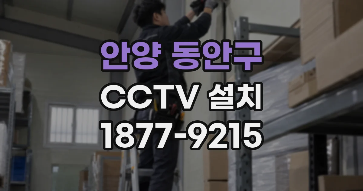 안양 동안구 CCTV 설치