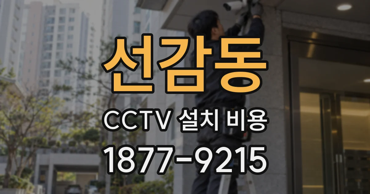 선감동 CCTV 설치 비용