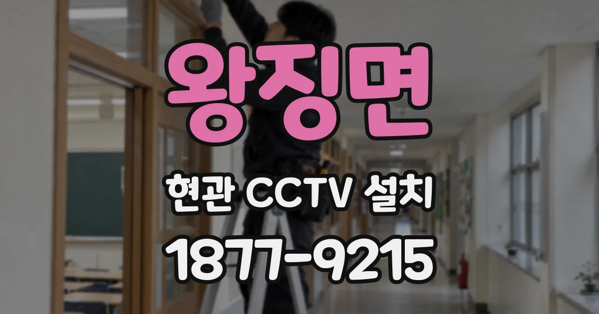 왕징면 현관 CCTV 설치