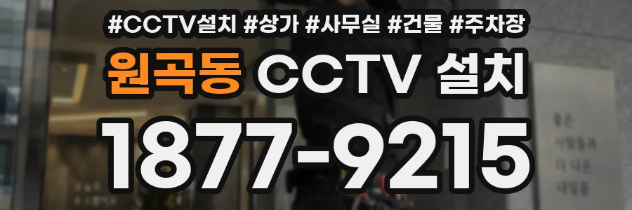원곡동 CCTV 설치