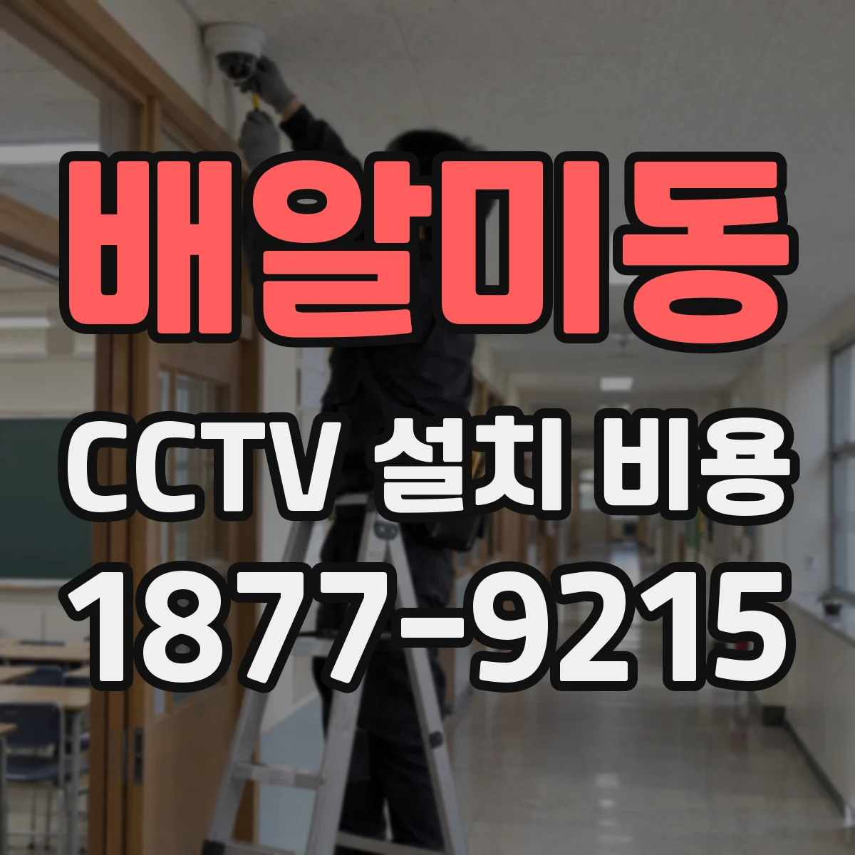 배알미동 CCTV 설치 비용