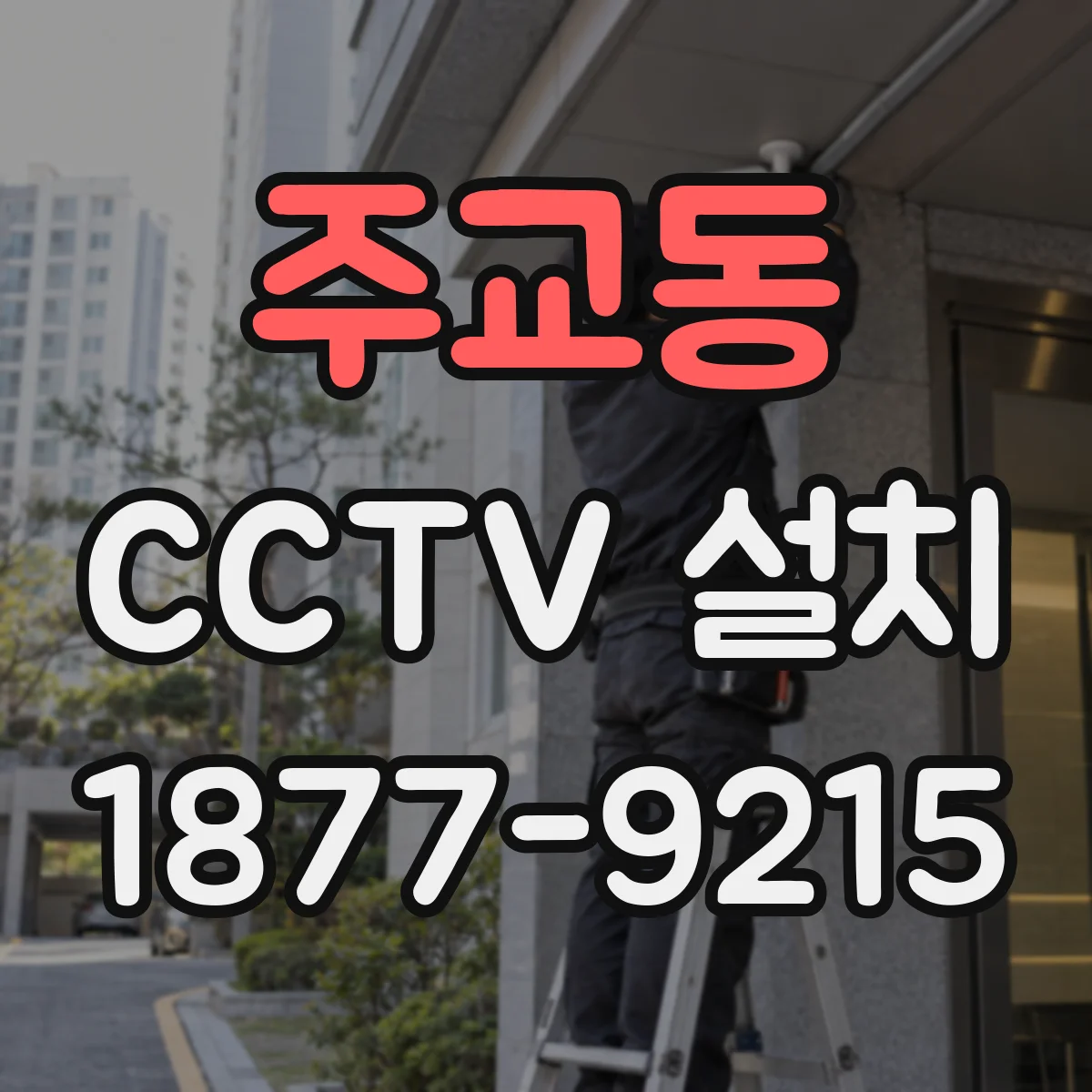 주교동 CCTV 설치