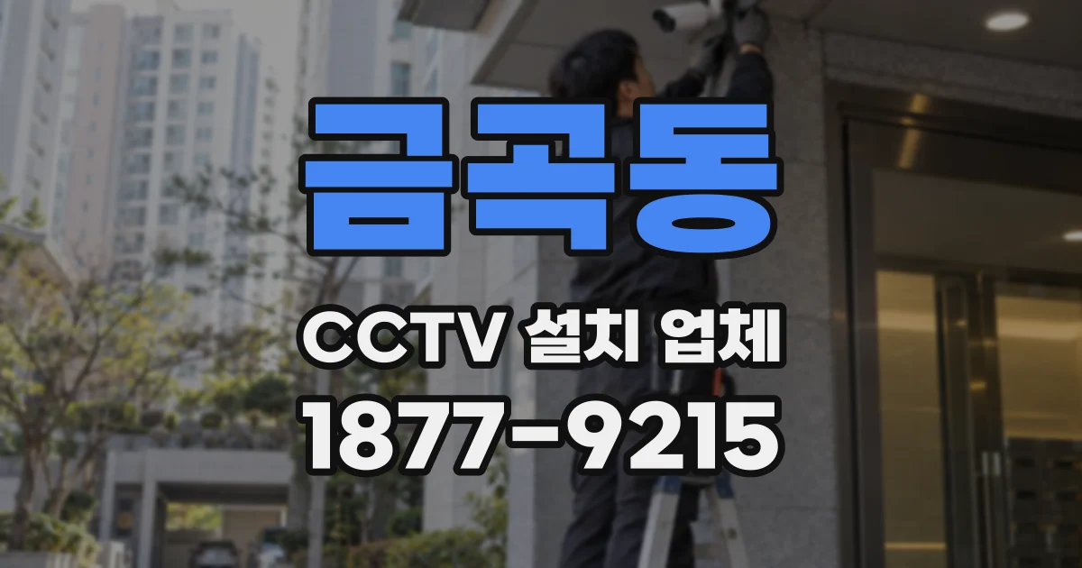금곡동 CCTV 설치 업체