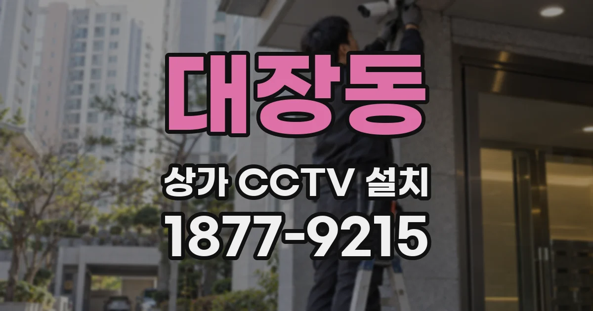 대장동 상가 CCTV 설치
