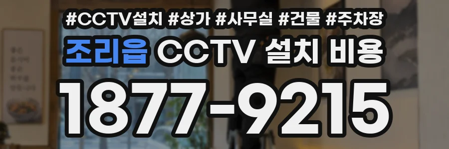 조리읍 CCTV 설치 비용