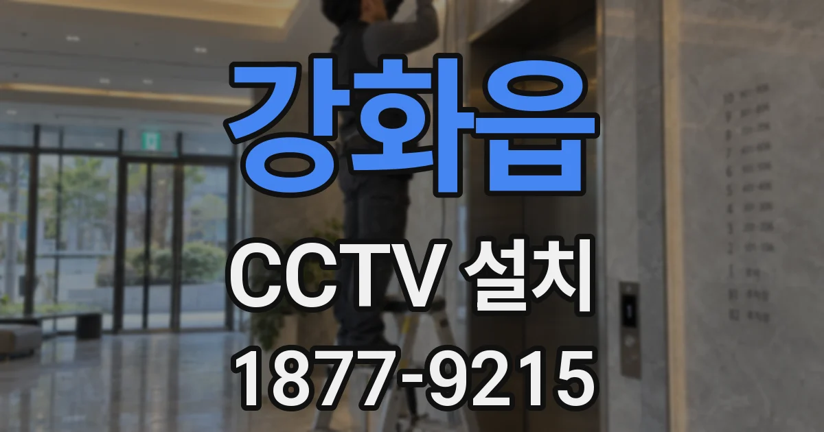 강화읍 CCTV 설치