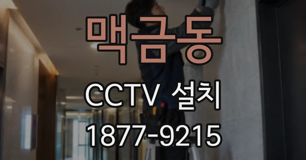 맥금동 CCTV 설치