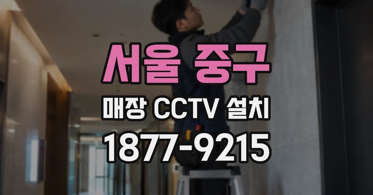 서울 중구 매장 CCTV 설치