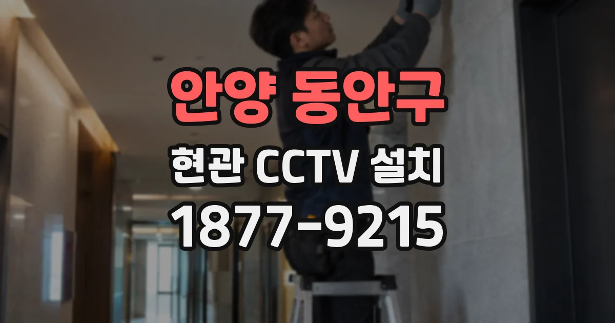 안양 동안구 현관 CCTV 설치
