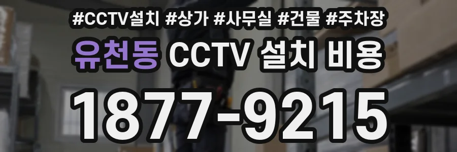 유천동 CCTV 설치 비용
